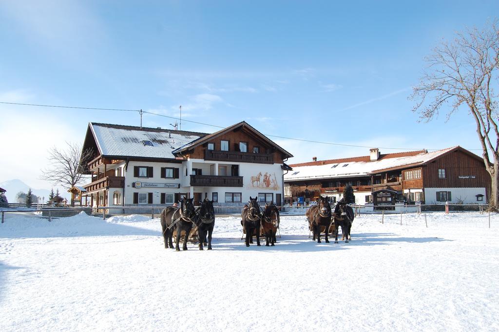 Gaestehaus Stefanie Schwangau Rom bilde